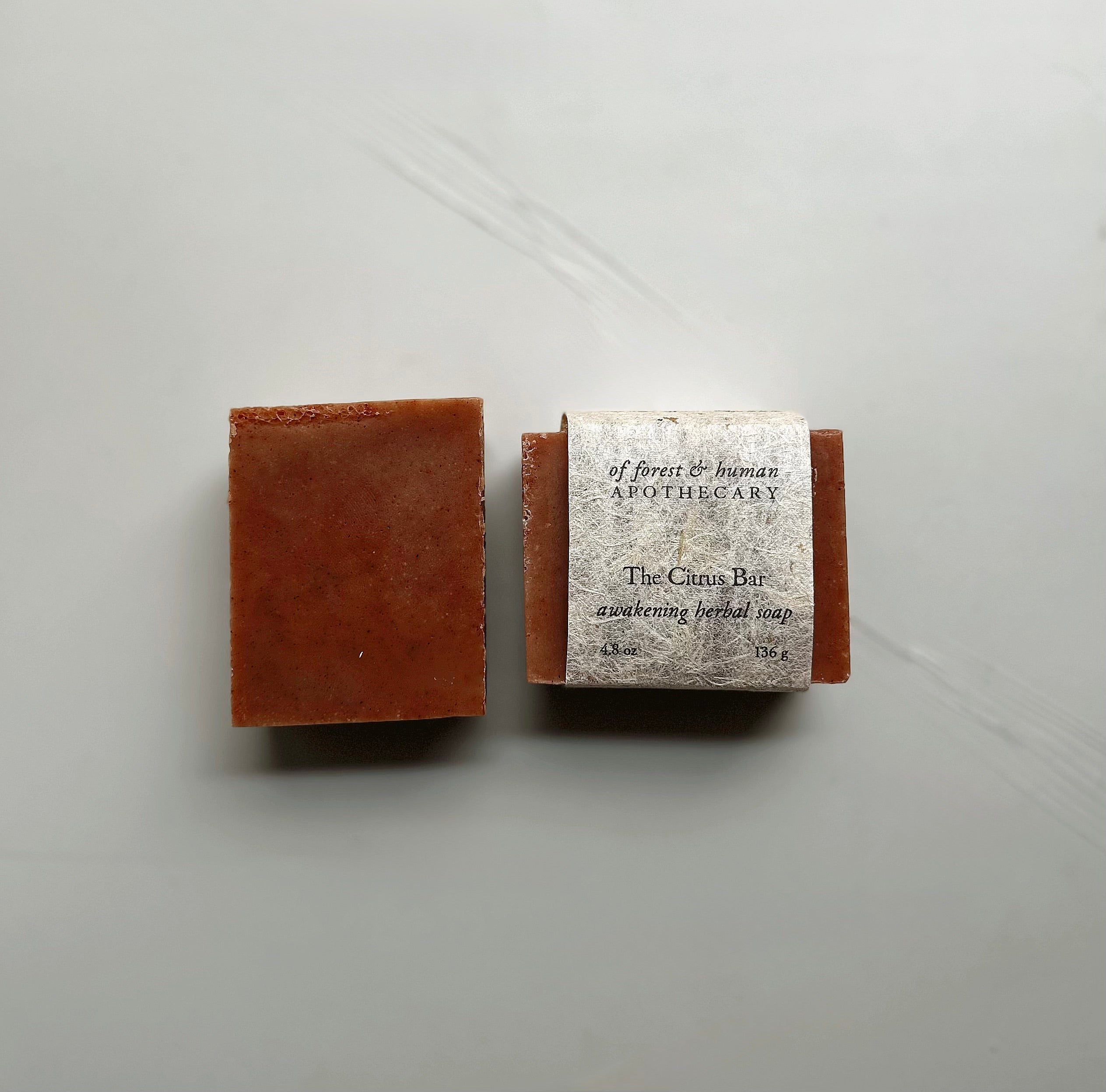 THE CITRUS BAR