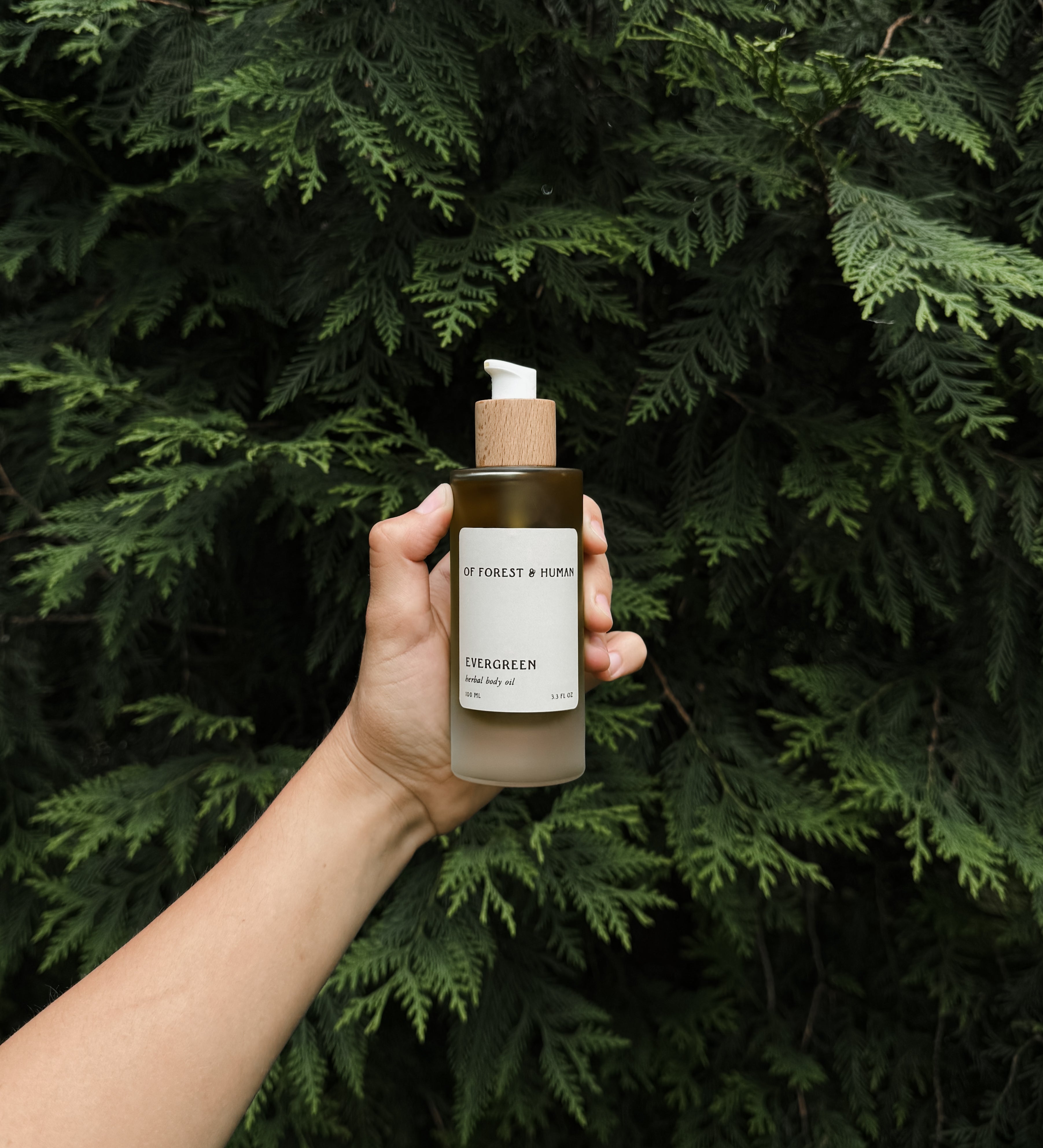 EVERGREEN BODY OIL