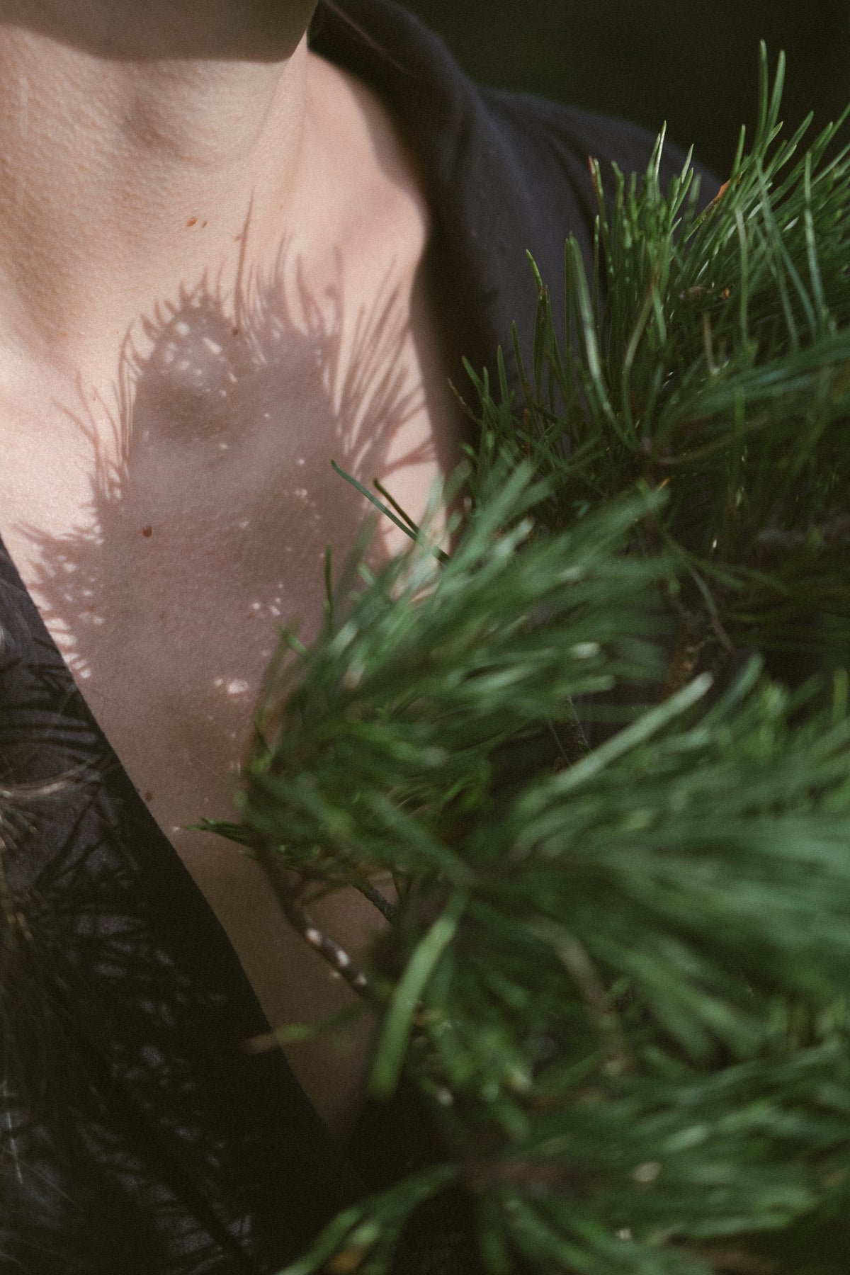 EVERGREEN BODY OIL