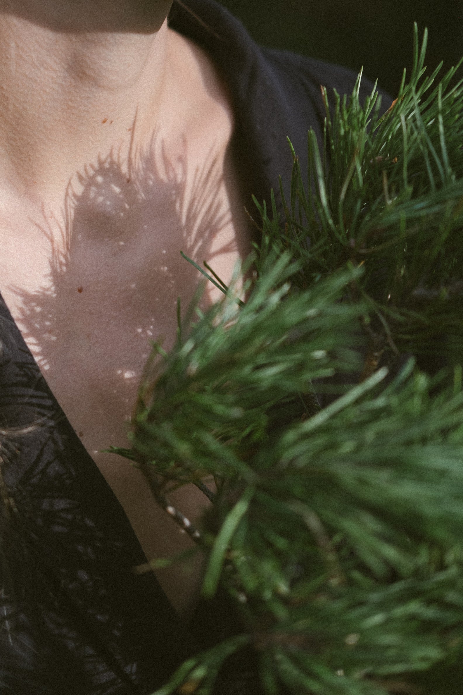 EVERGREEN BODY OIL