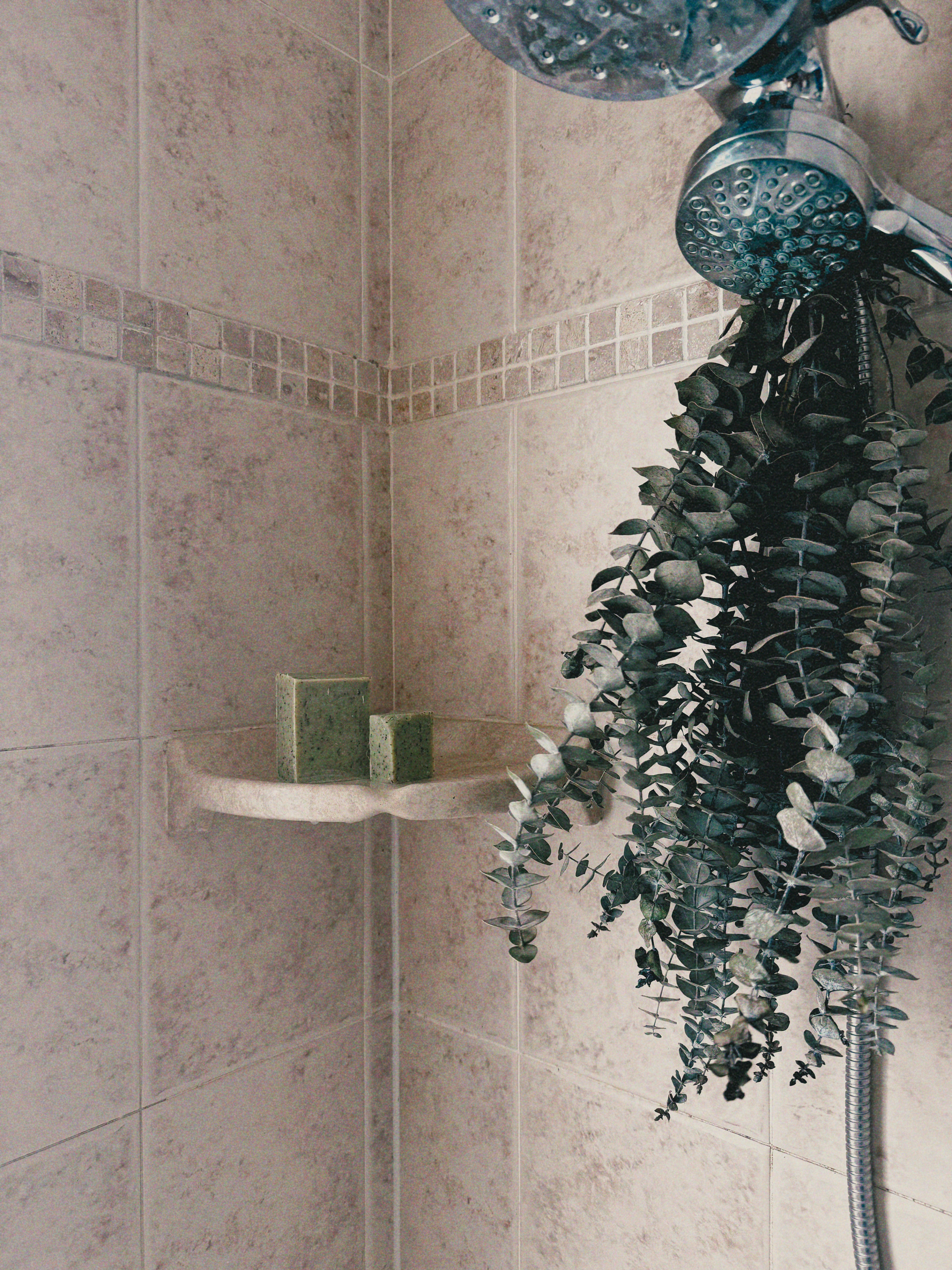 THE GARDEN BAR (ships 03.12)