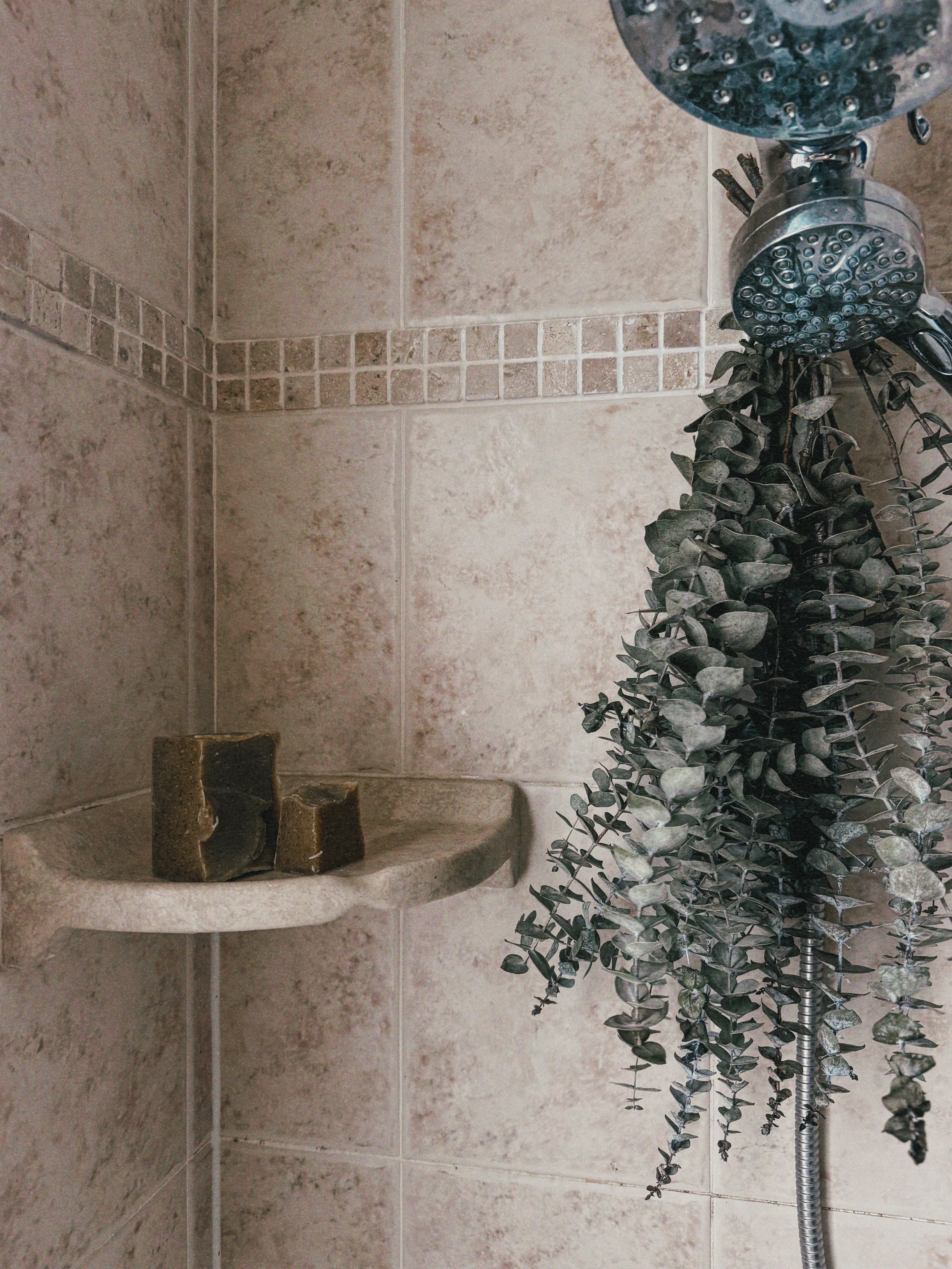 THE EARTH BAR (ships 03.12)