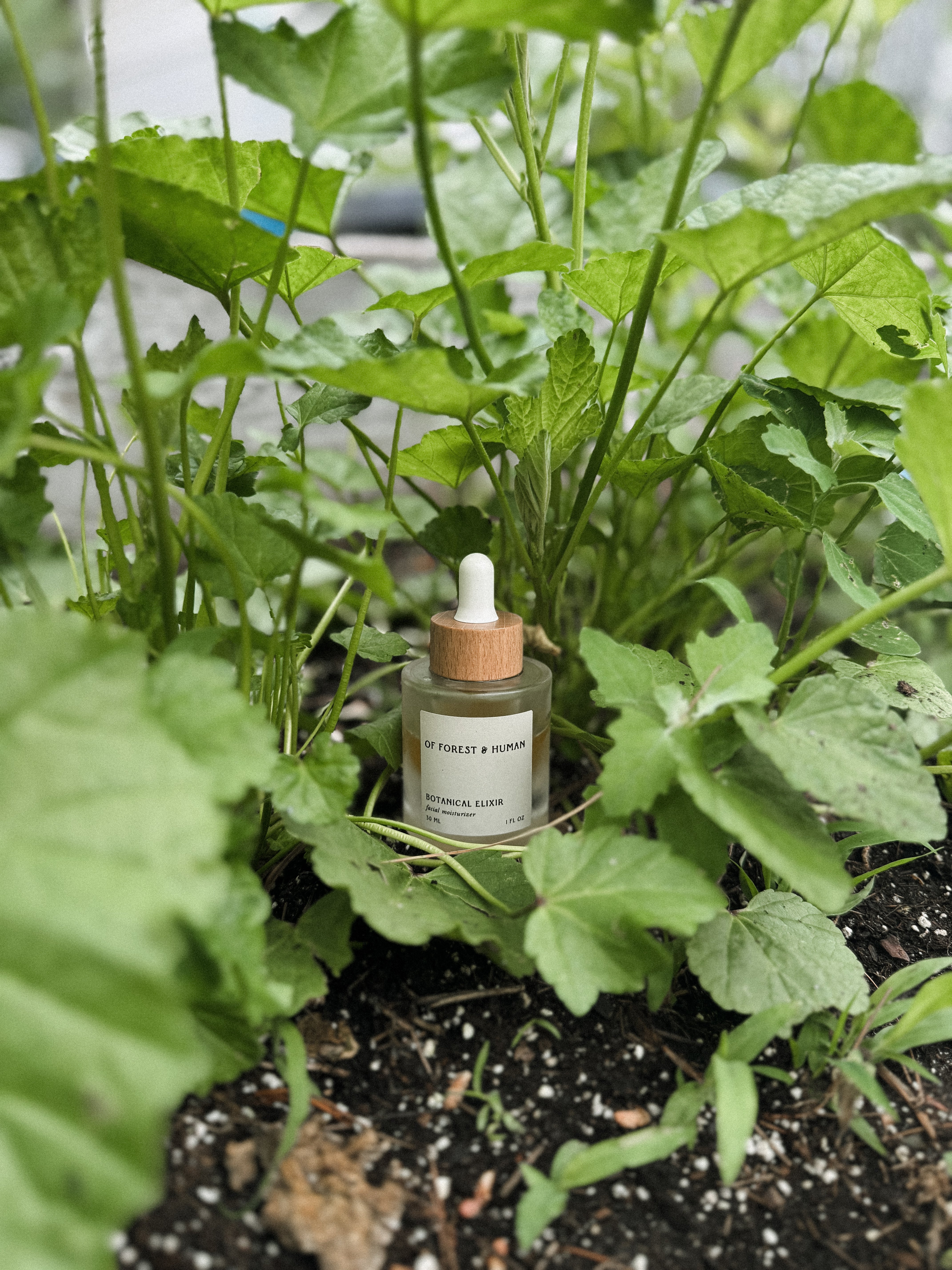 BOTANICAL ELIXIR