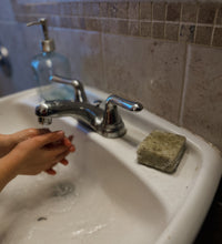 THE GARDEN BAR (ships 03.12)