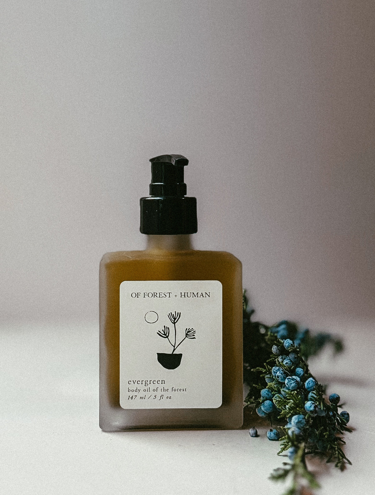 EVERGREEN BODY OIL